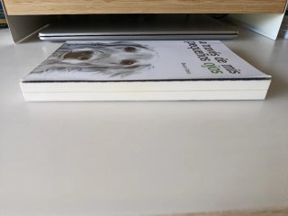A través de mis pequeños ojos
