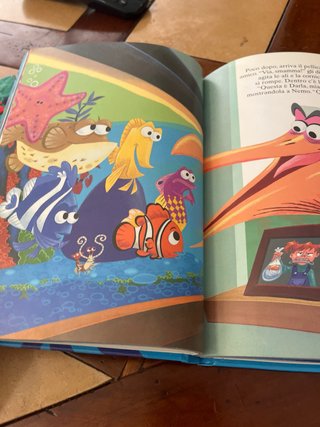 Alla ricerca di NEMO