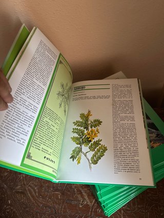 Gran Enciclopedia de la Vida Natural. Tomo 1. M...