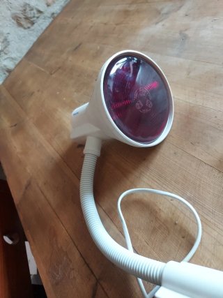 Philips Infraphil Lámpara Infrarroja