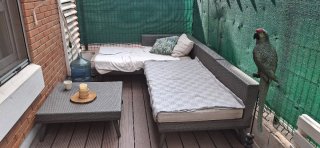 Conjunto Sofás Terraza Ratán Gris