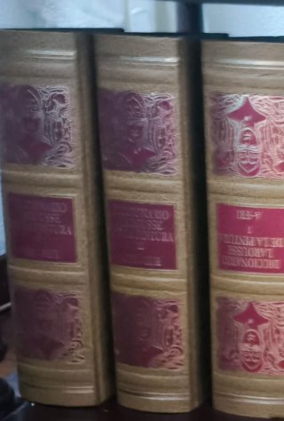 Enciclopedia Diccionario larousse de la pintura