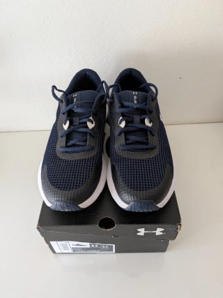 Zapatillas Under Armour Surge 3 (T.43)