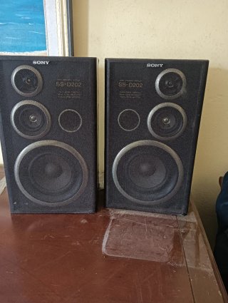 Equipo de música Sony LBT-V202