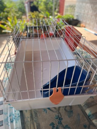 Jaula Conejo/Roedor Naranja y Blanca