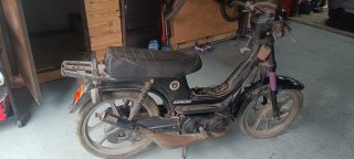 Derbi Variant Start Negra y Morada