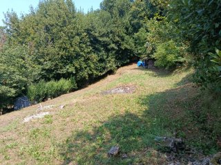 Alquiler de finca rústica