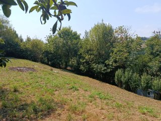 Alquiler de finca rústica