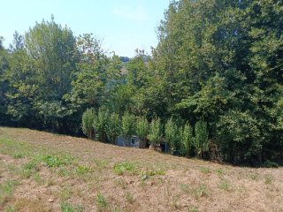 Alquiler de finca rústica