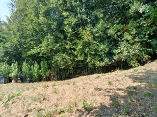 Alquiler de finca rústica