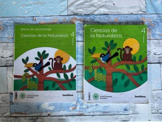Libros 4º Primaria Castilla y León