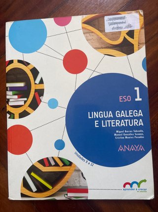 Lingua galega e literatura, ESO 1