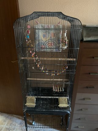 Jaula para pájaros grande con accesorios