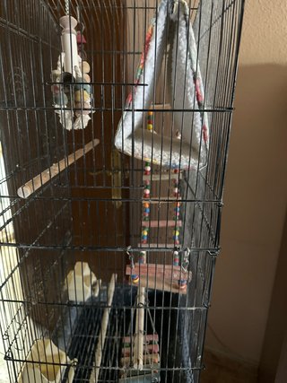 Jaula para pájaros grande con accesorios