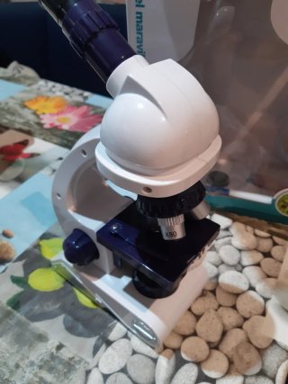 Microscopio Educativo Play- con Luz