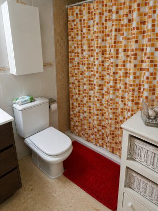 Cortina de ducha y alfombra de baño