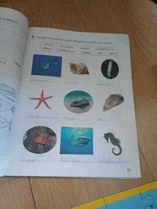 El arca de los cuentos 2