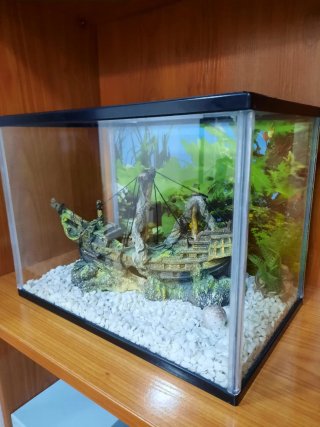 Acuario Peces Barco Decorativo