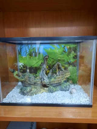Acuario Peces Barco Decorativo