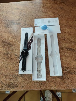 Reloj Honor Watch 2 Epic