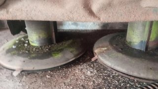Se vende segadora de discos