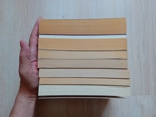 Rosamunde Pilcher 8 libri