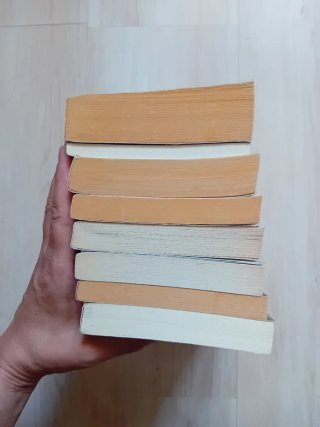 Rosamunde Pilcher 8 libri