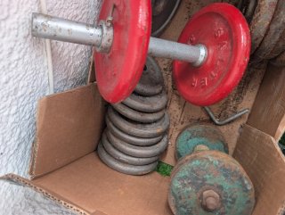 Discos de Pesas Salter 3kg 2kg 1kg