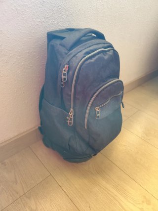 Mochila con ruedas TOTTO
