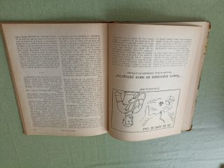 Libro juvenil