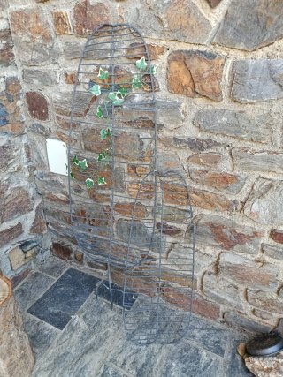 2 Rejas para plantas trepadoras