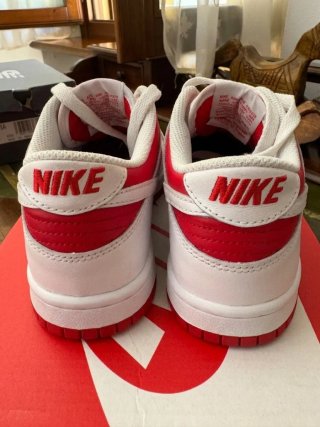 Nike Dunk Donna Rosso Bianco