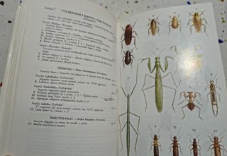 Guía de campo de los insectos de España y de Eu...