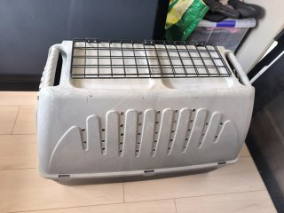 Transportín grande para perro
