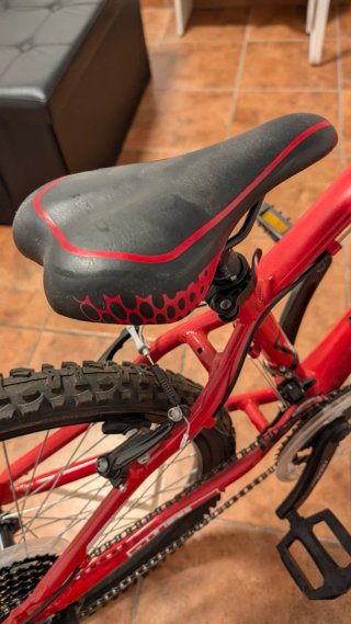 Bicicleta B-PRO MTB 24 18 velocidades