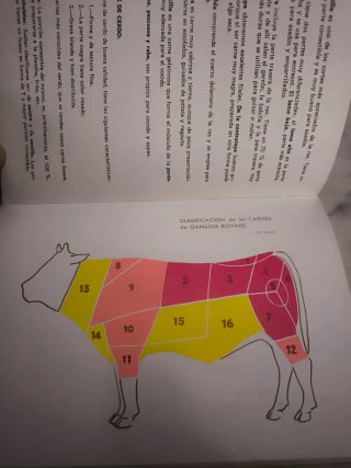 Educación en alimentos y nutrición