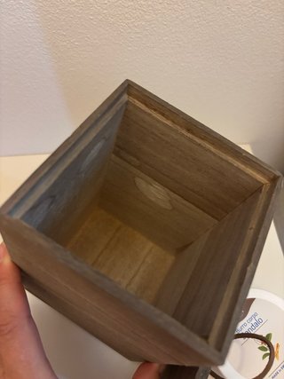 Scatola in legno di paulownia Just originale vuota