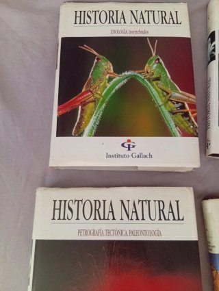 Libros en buen estado