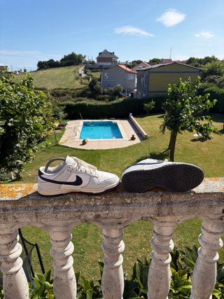 Playeras Nike Dunk