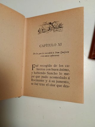 Don Quijote, miniatura ilustrado por José Passos.