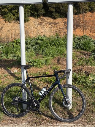 Aurum Essentia 2026 Talla L