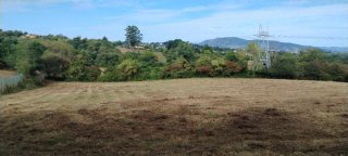 Finca edificable para explotación ganadera