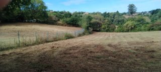 Finca edificable para explotación ganadera