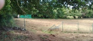 Finca edificable para explotación ganadera