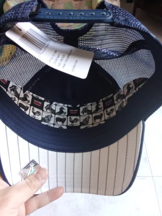 Gorra azul con parche de león. Original
