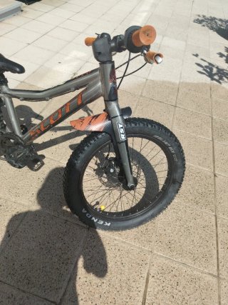 Bicicleta Scott Roxter 20