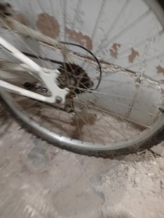 Bicicleta de montaña