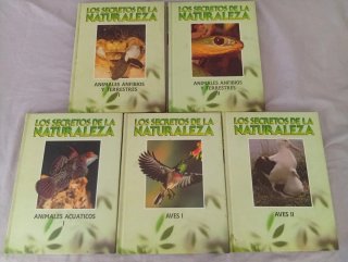 Libros