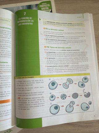 Biología y geología, 4 ESO