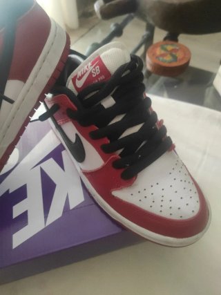 Nike SB Dunk Low Chicago.